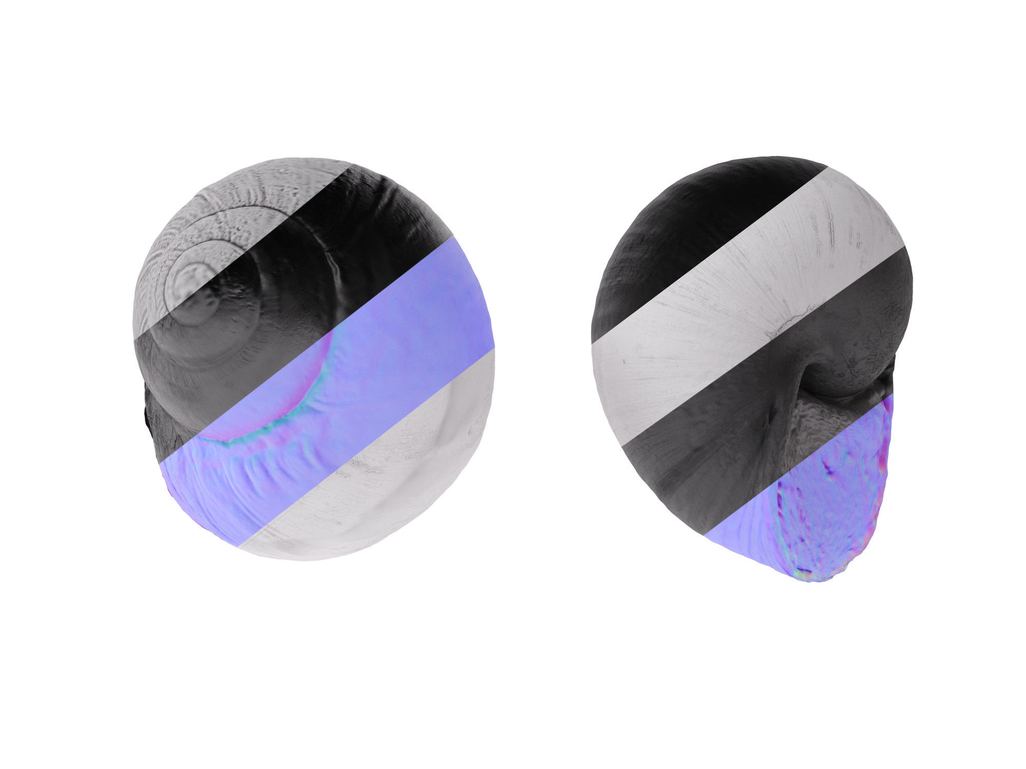 Escargots Low-poly 3D model_11