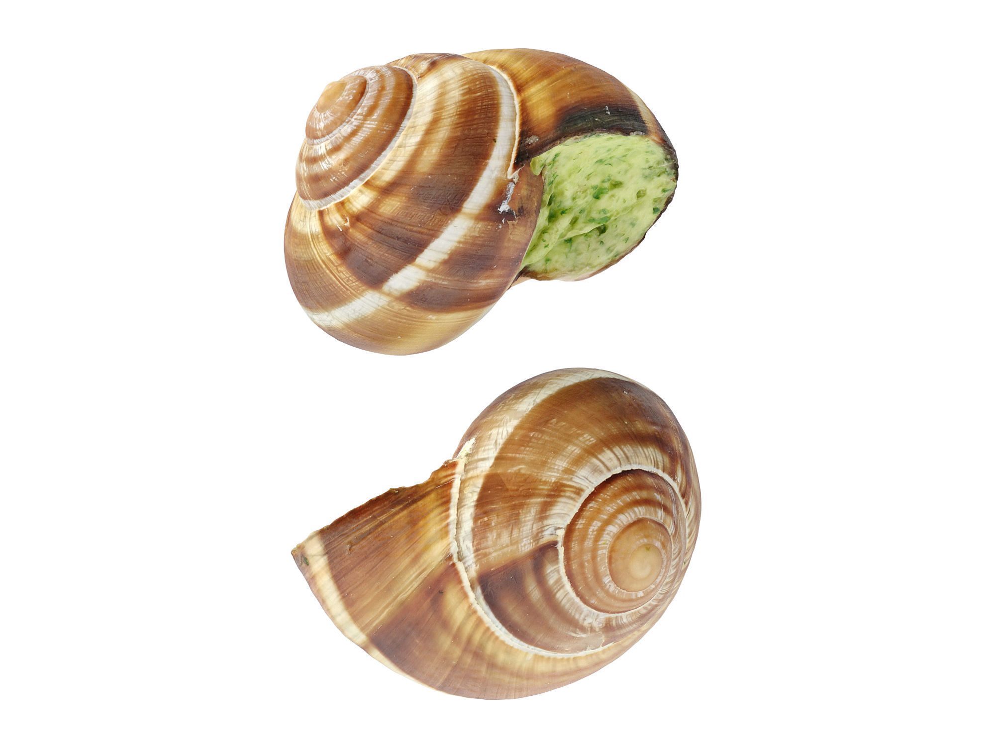 Escargots Low-poly 3D model_6