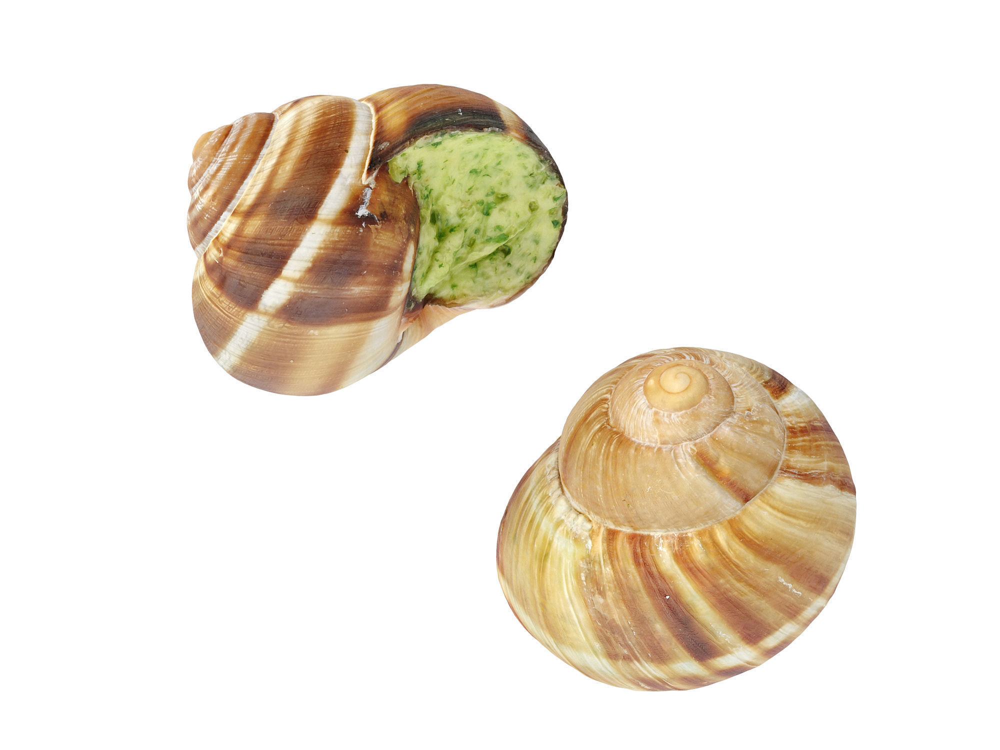 Escargots Low-poly 3D model_4