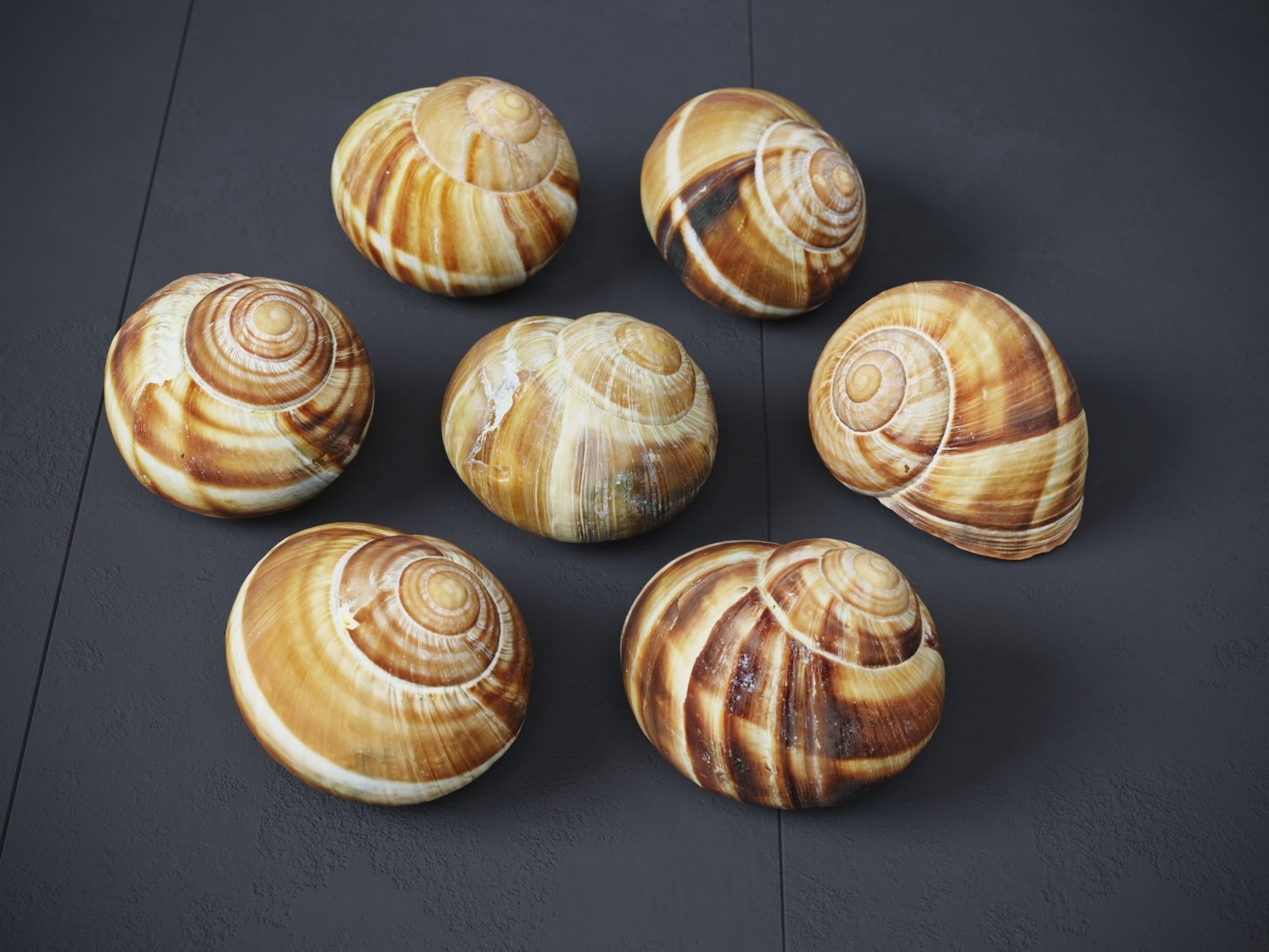 Escargots Low-poly 3D model_3