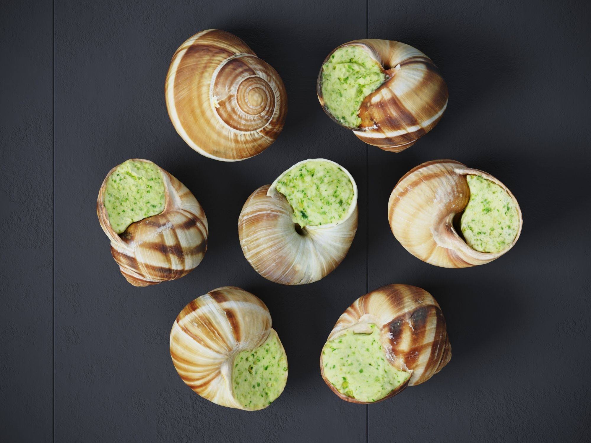 Escargots Low-poly 3D model_1