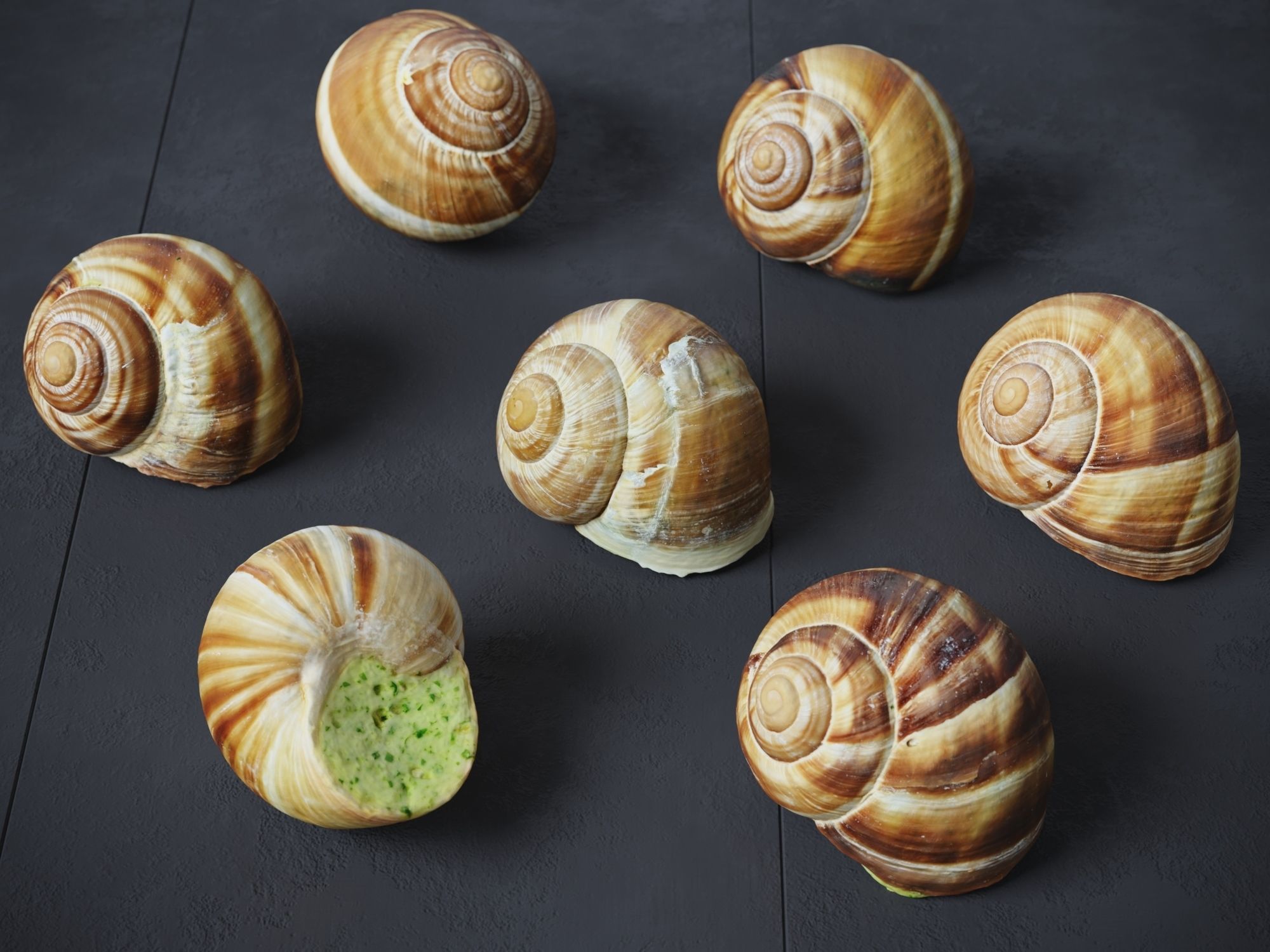 Escargots Low-poly 3D model_2