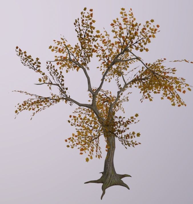 Tree 3D Asset Low-poly 3D model_4