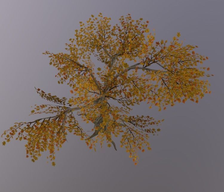 Tree 3D Asset Low-poly 3D model_5