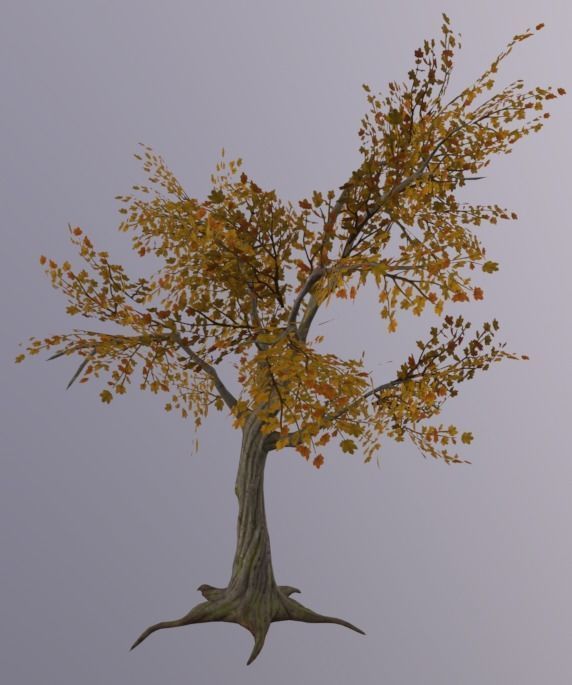 Tree 3D Asset Low-poly 3D model_2