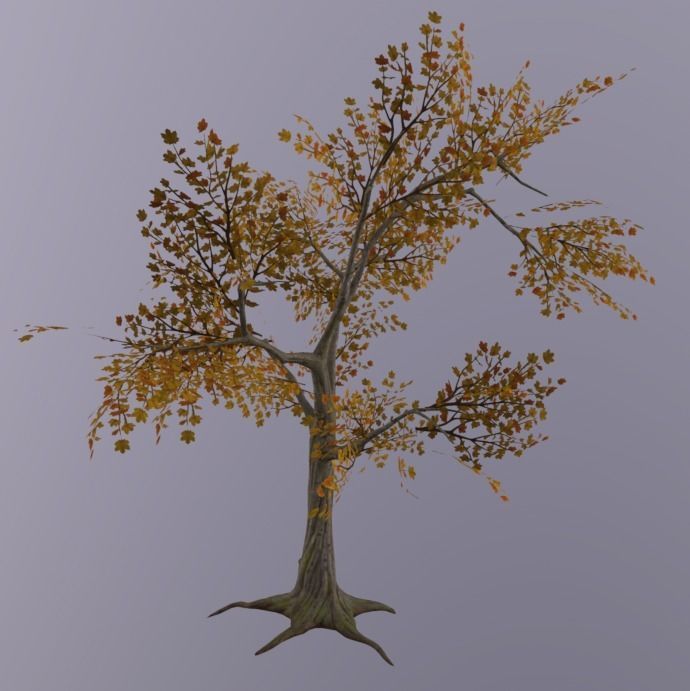 Tree 3D Asset Low-poly 3D model_3