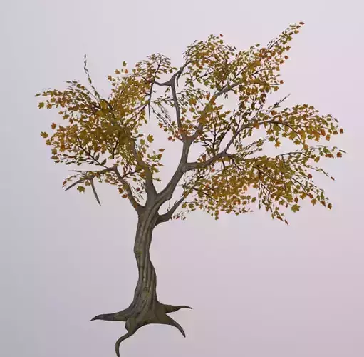 Tree 3D Asset