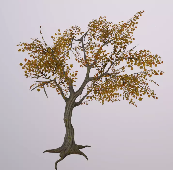 Tree 3D Asset Low-poly 3D model_0