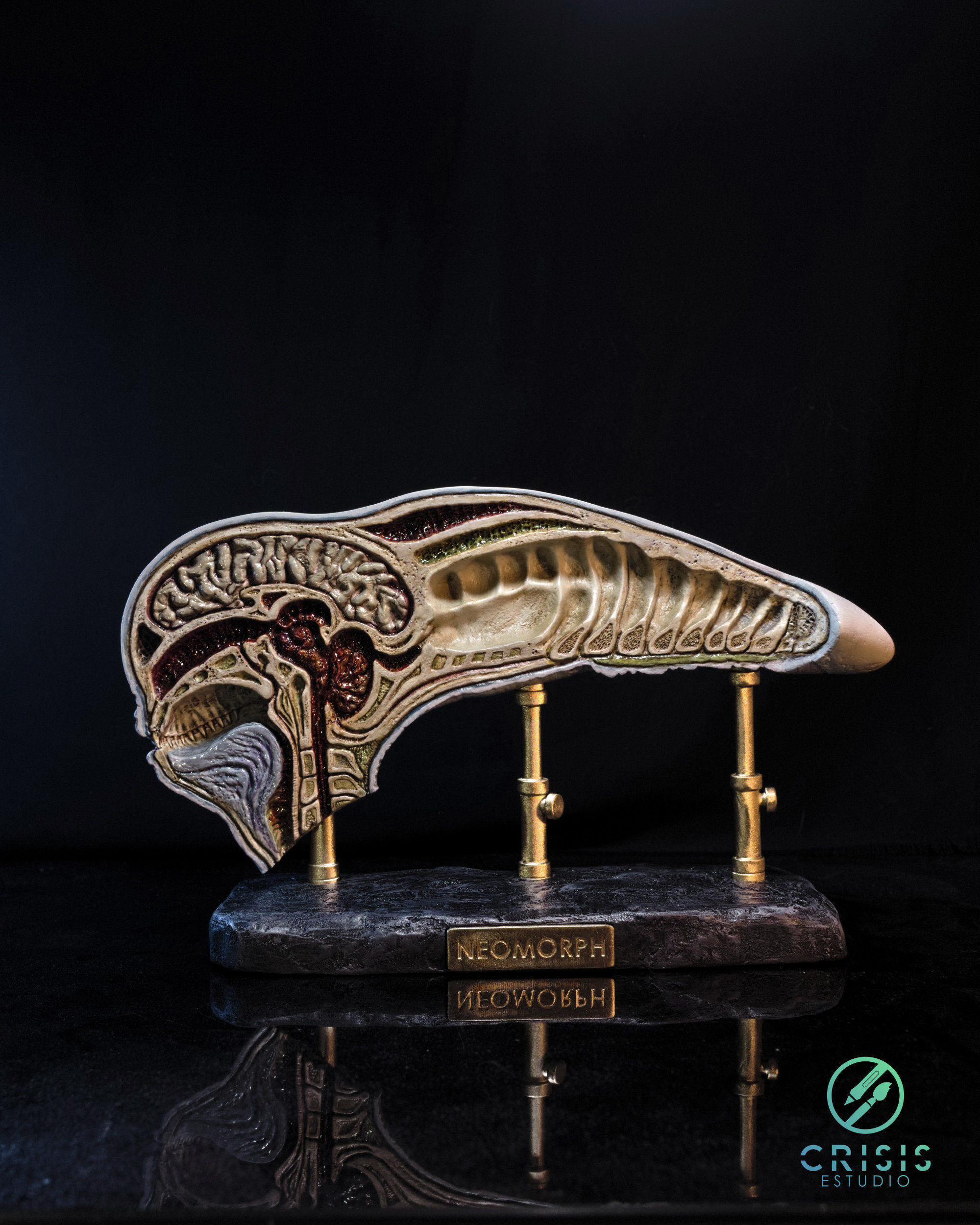 Alien covenant - Dissected neomorph head - Davids Lab 3D print model_9