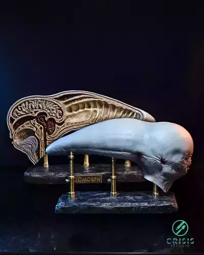 Alien covenant - Dissected neomorph head - Davids Lab 