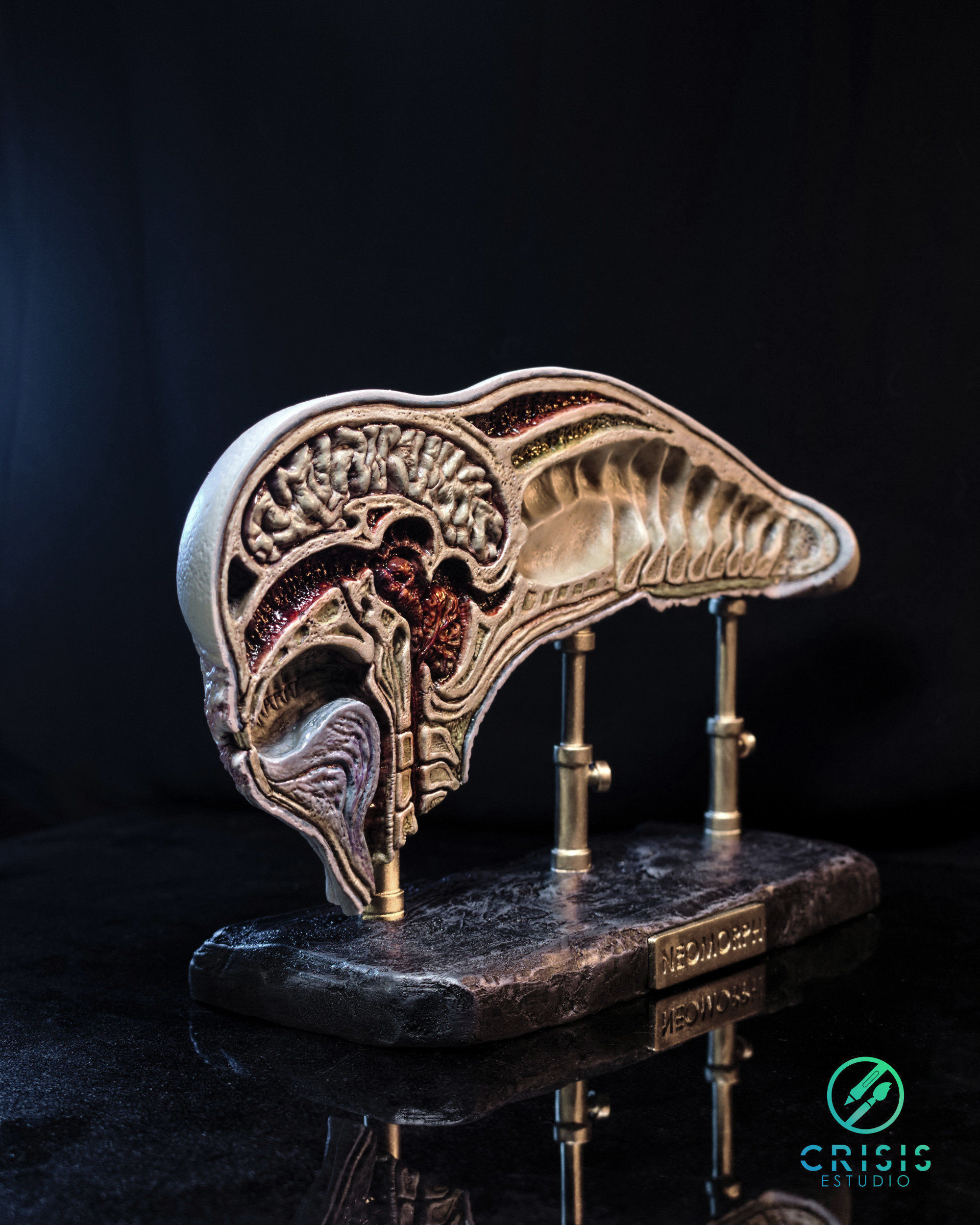 Alien covenant - Dissected neomorph head - Davids Lab 3D print model_8