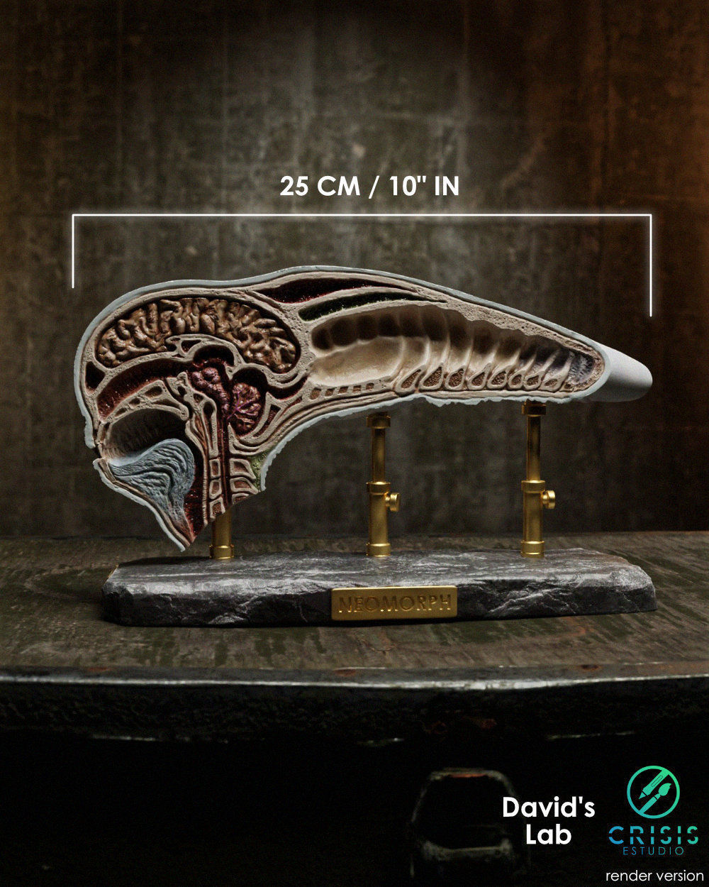 Alien covenant - Dissected neomorph head - Davids Lab 3D print model_4