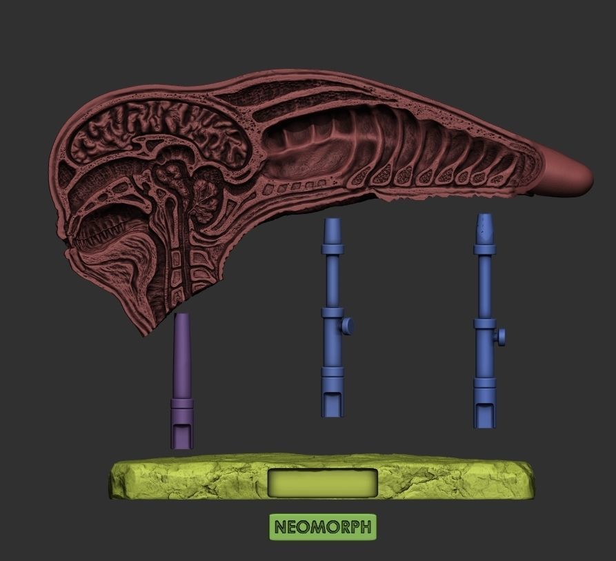 Alien covenant - Dissected neomorph head - Davids Lab 3D print model_11