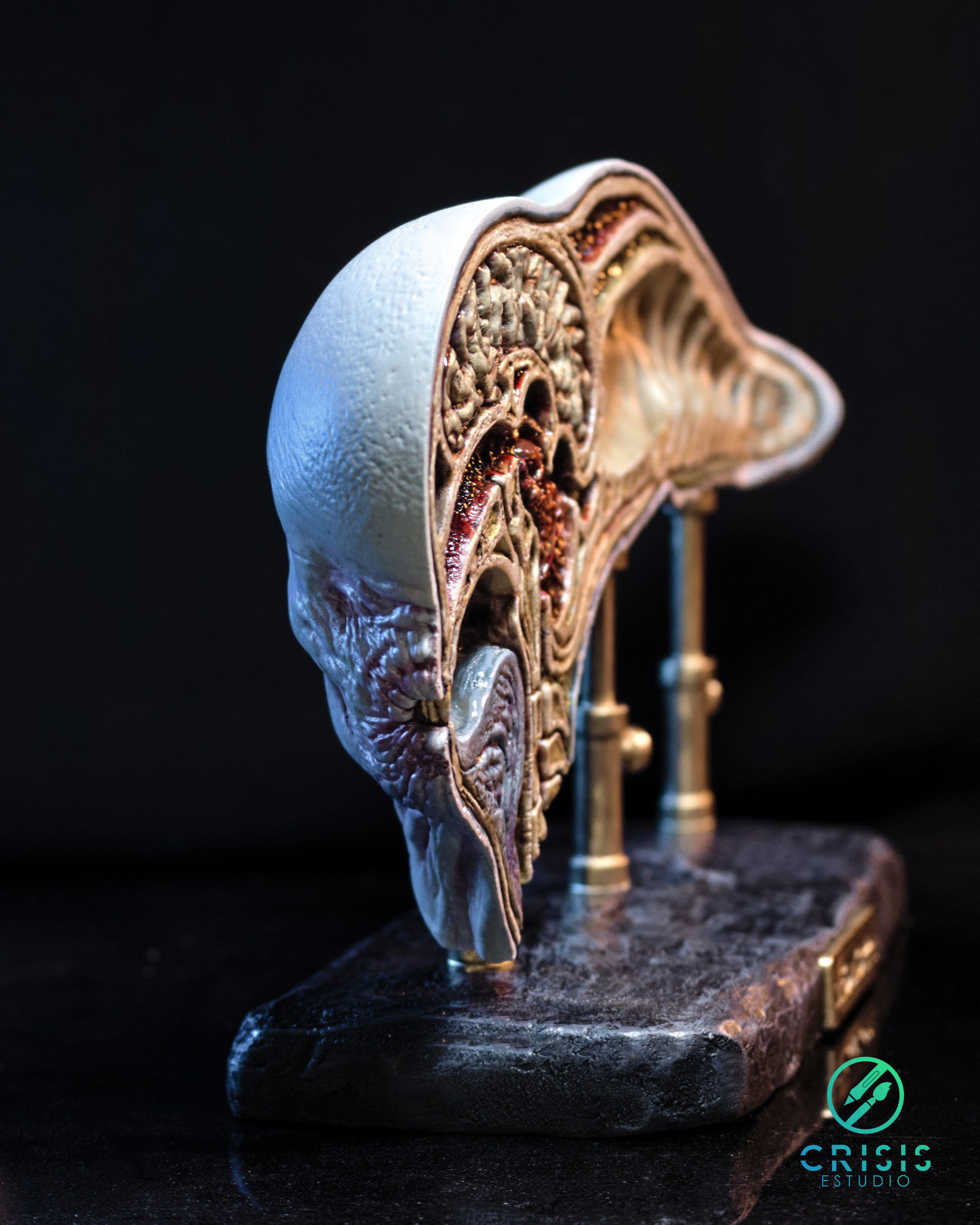 Alien covenant - Dissected neomorph head - Davids Lab 3D print model_5