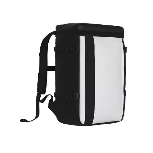 Modern Black-White 3D Back Pack Model