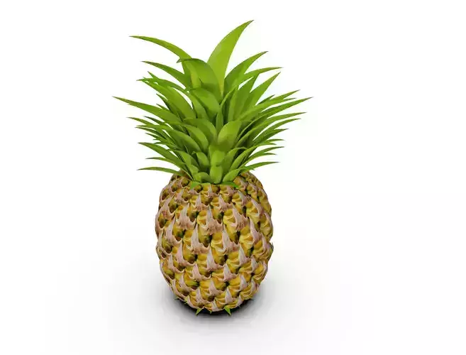 Pineapple
