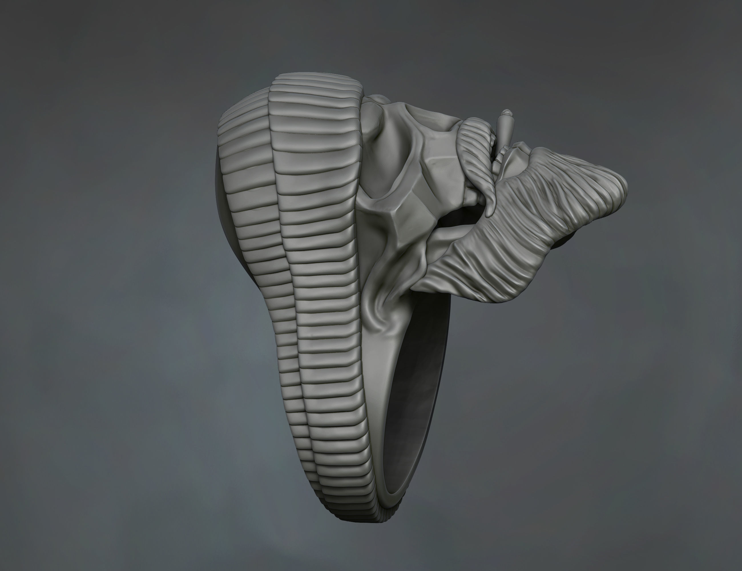 skull ring for men 3D print model_5