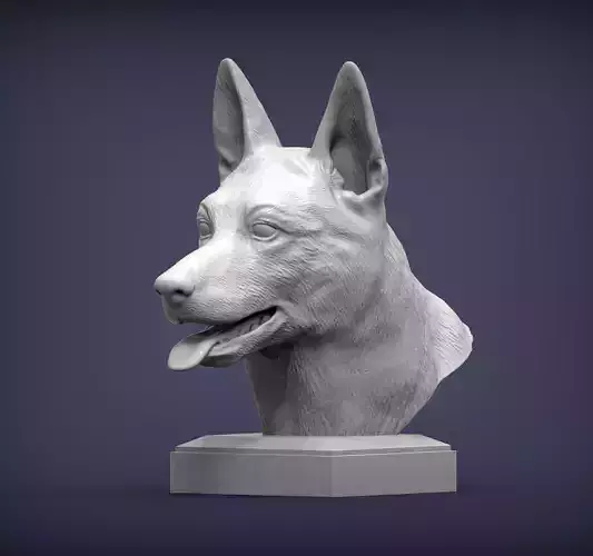 Belgian Malinois bust