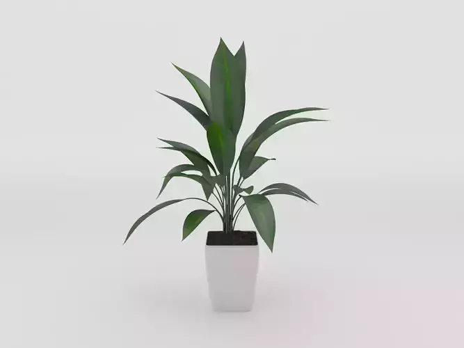 Green Potted Plant 3d Model