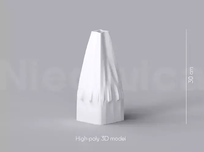 NIEDWICA VASE C-5 3D PRINTING VASE 3D MODEL STL FILE 