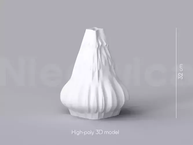 NIEDWICA VASE C-6 3D PRINTING VASE 3D MODEL STL FILE 