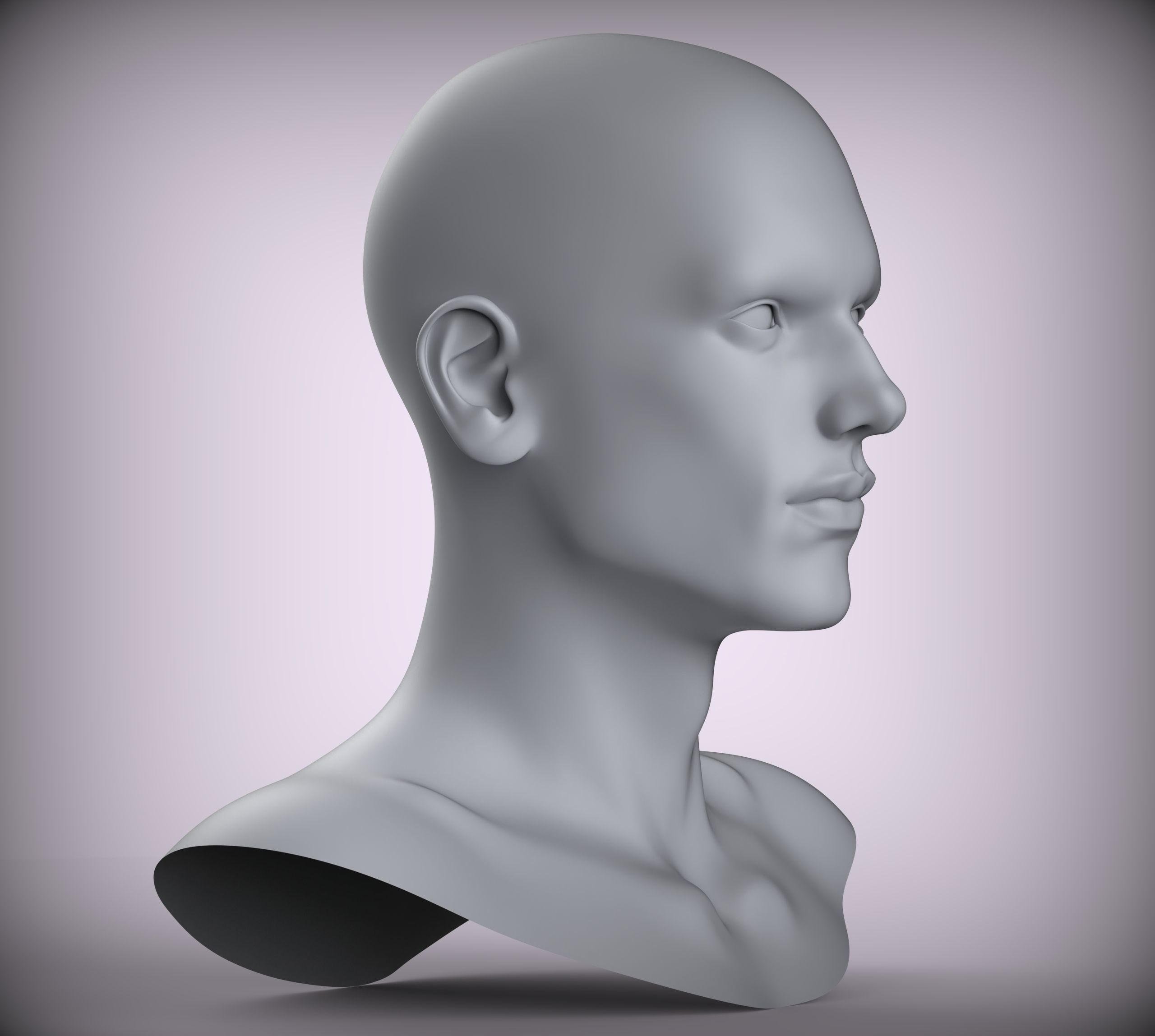 11 Male Head Sculpt  3D model Low-poly 3D model Low-poly 3D model_3