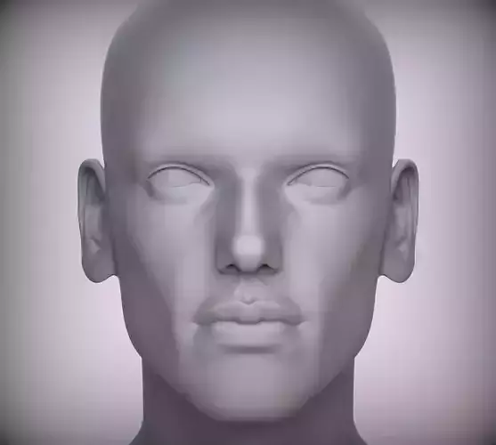 11 Male Head Sculpt  3D model Low-poly 3D model
