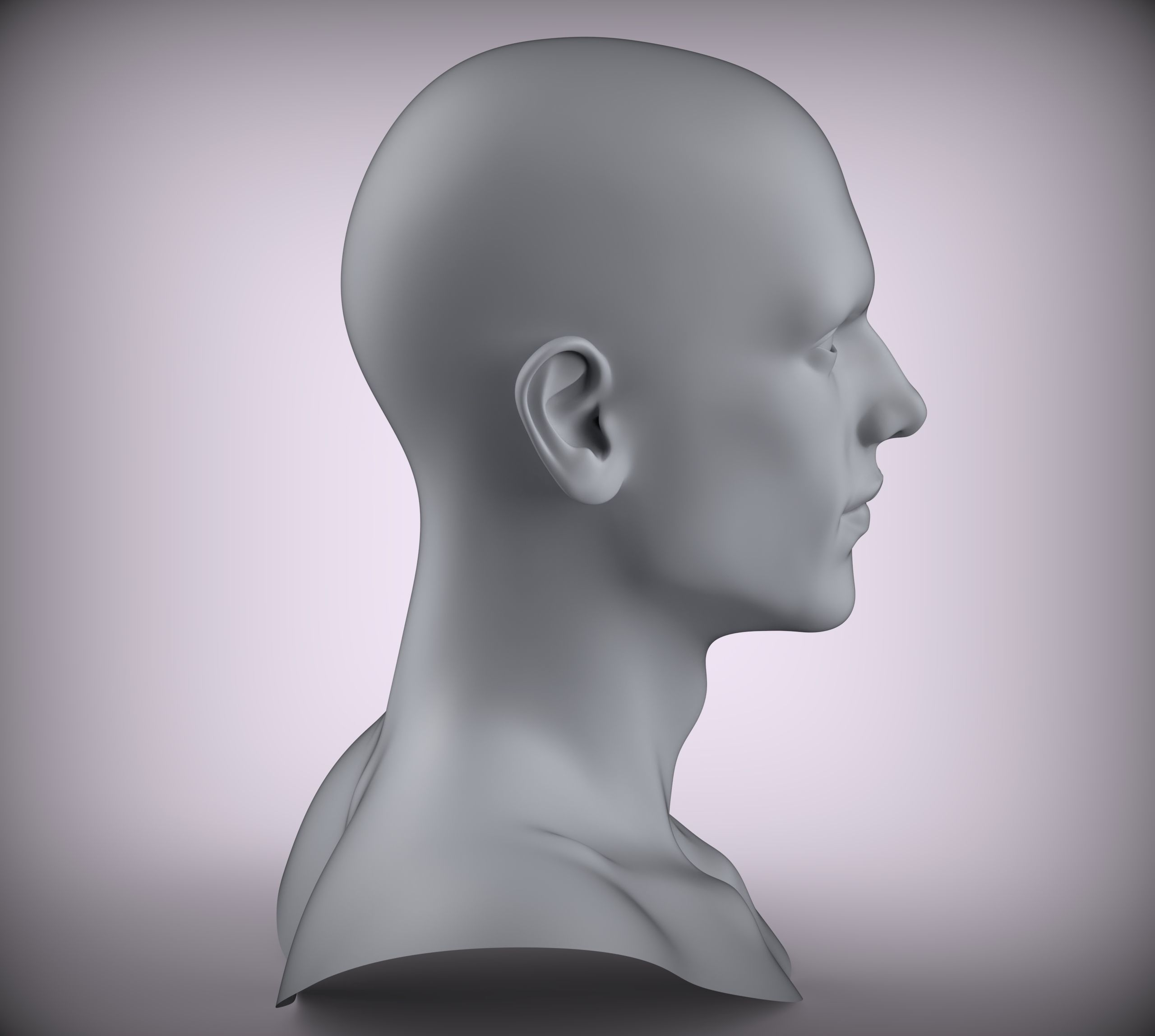 11 Male Head Sculpt  3D model Low-poly 3D model Low-poly 3D model_4