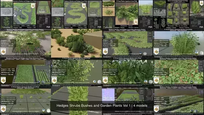 Hedges Shrubs Bushes and Garden Plants Vol 1 3D Model Collection