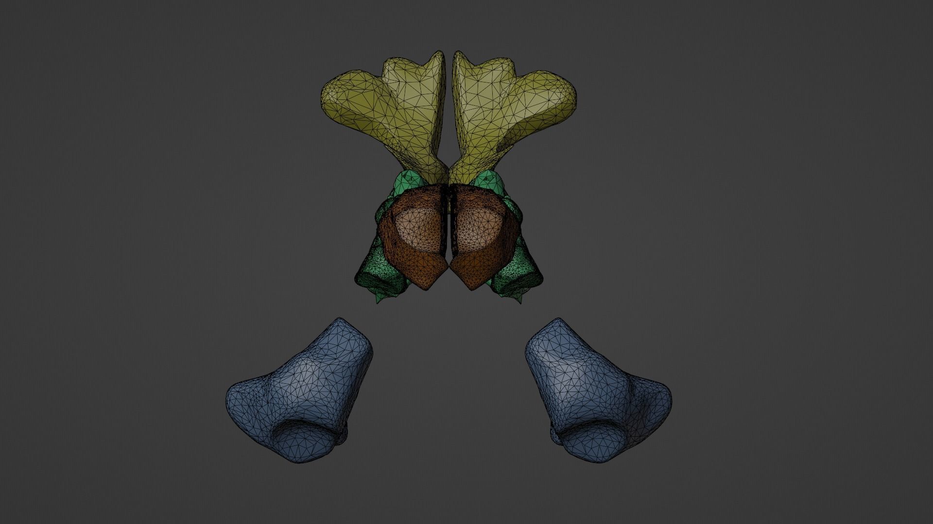 3D Model of Paranasal Sinuses 3D model_10