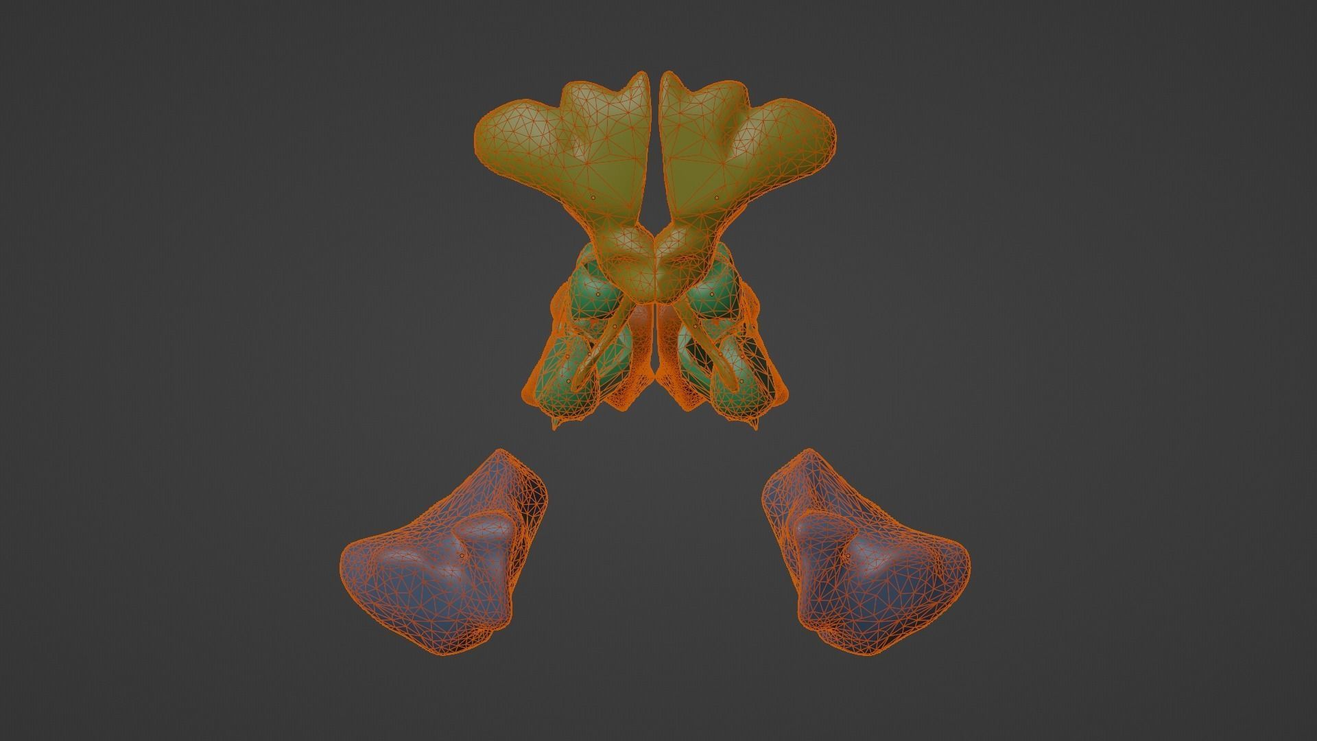 3D Model of Paranasal Sinuses 3D model_16