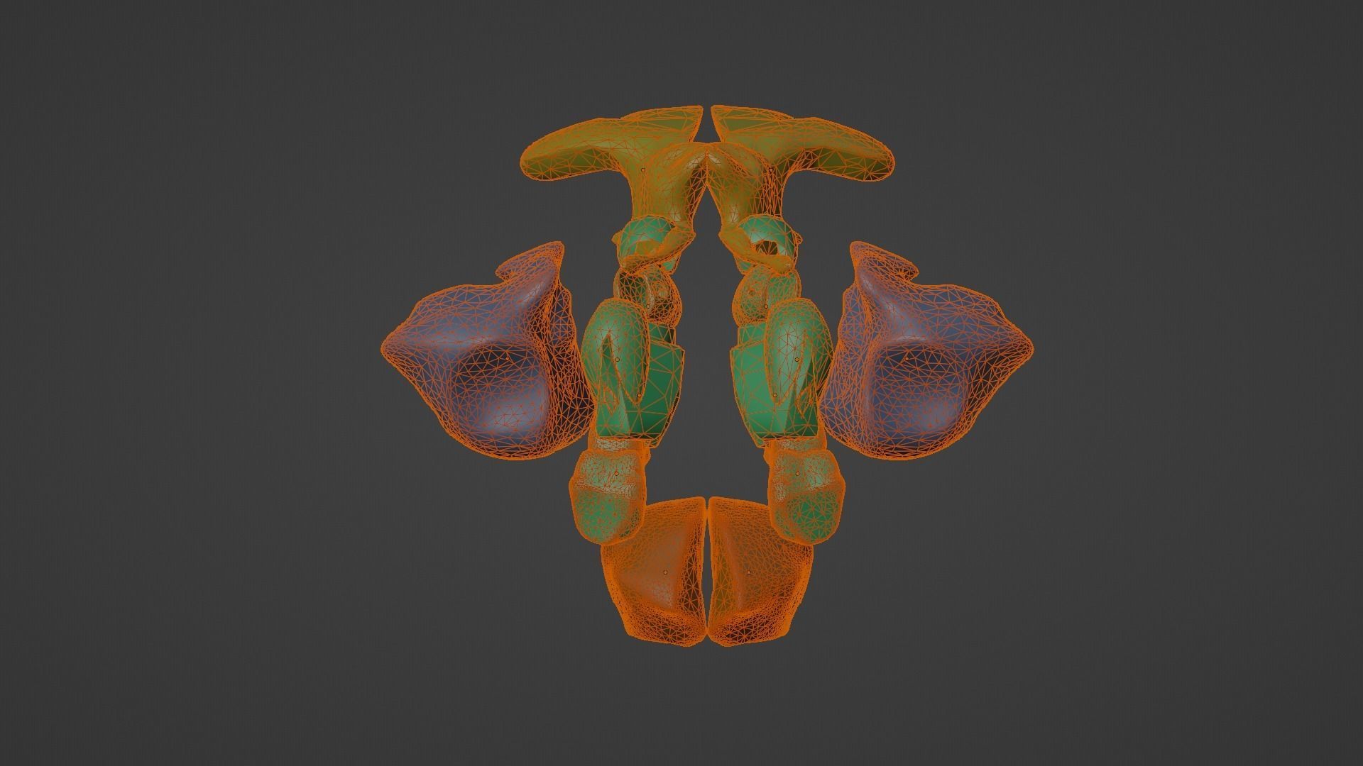 3D Model of Paranasal Sinuses 3D model_13