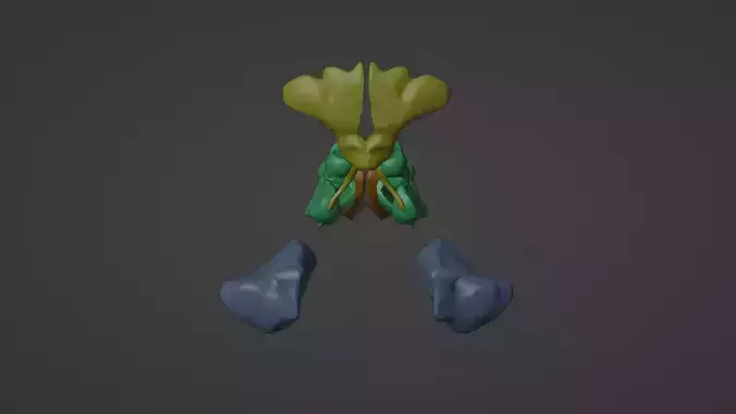 3D Model of Paranasal Sinuses 3D model
