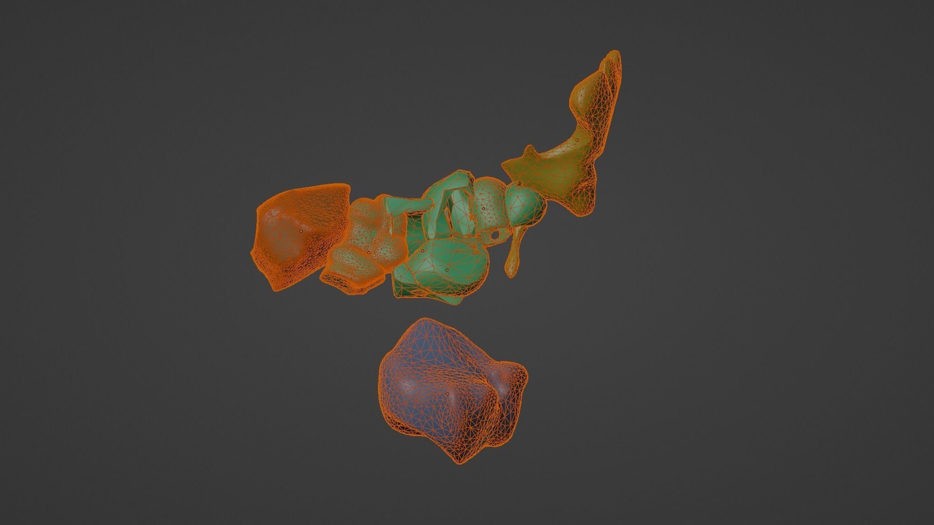 3D Model of Paranasal Sinuses 3D model_18