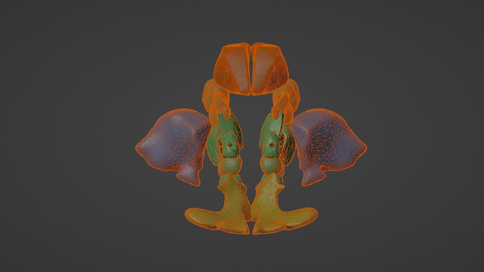 3D Model of Paranasal Sinuses 3D model_15