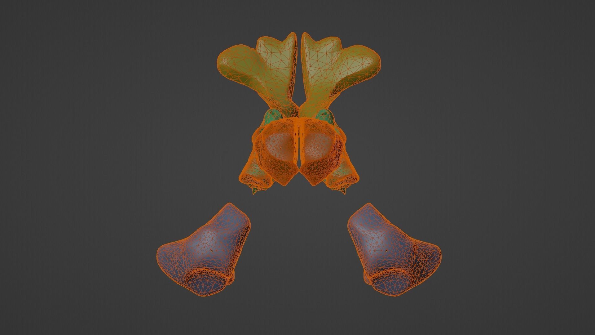 3D Model of Paranasal Sinuses 3D model_14