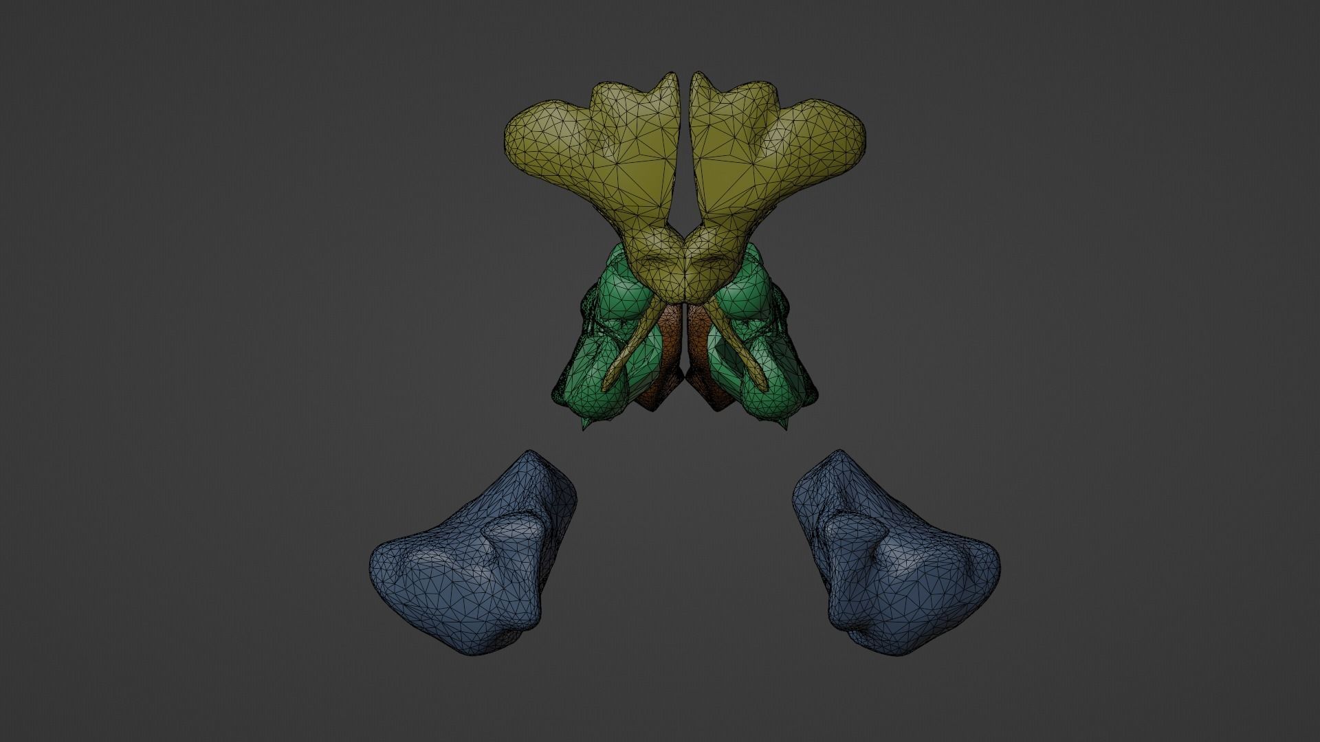 3D Model of Paranasal Sinuses 3D model_9