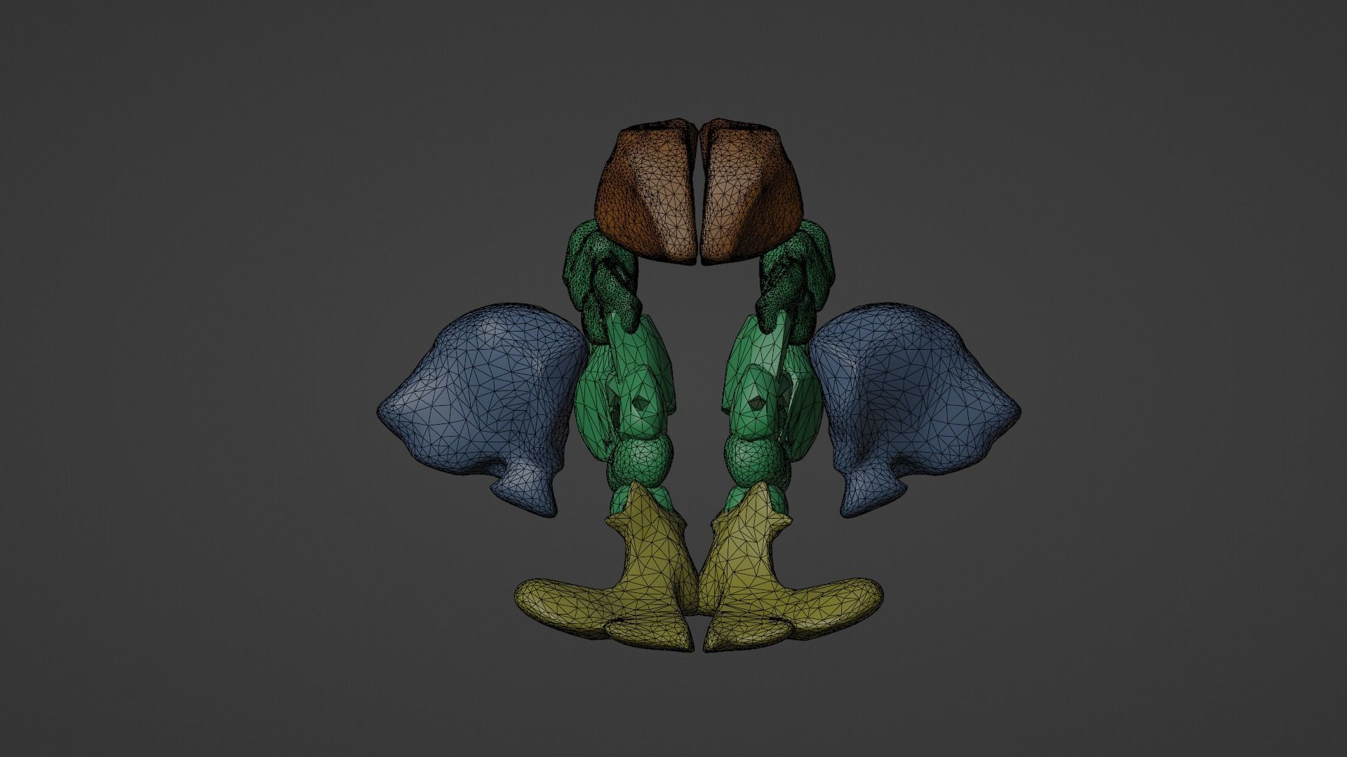 3D Model of Paranasal Sinuses 3D model_6