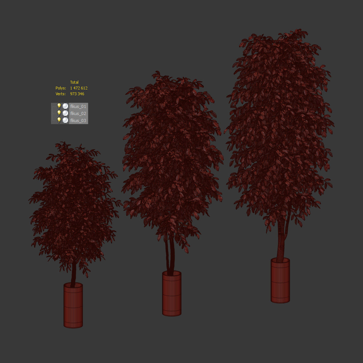 Ficus Benjamin Nitida v2 - 3 models 3D model_3