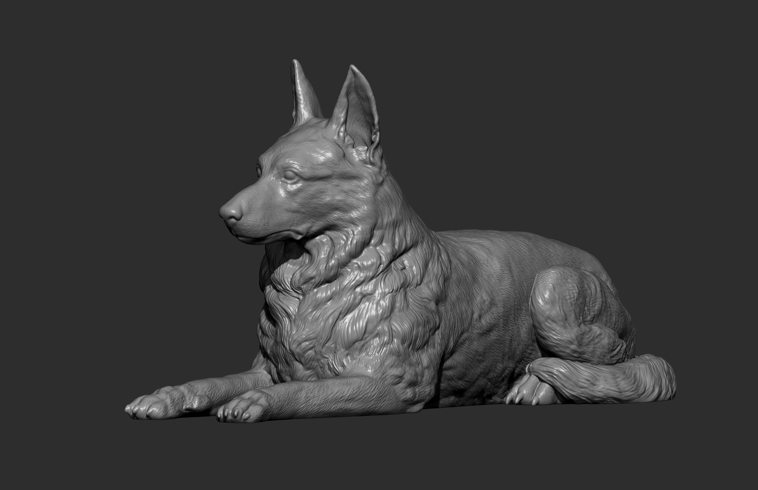 German Shepherd  3D print model_12