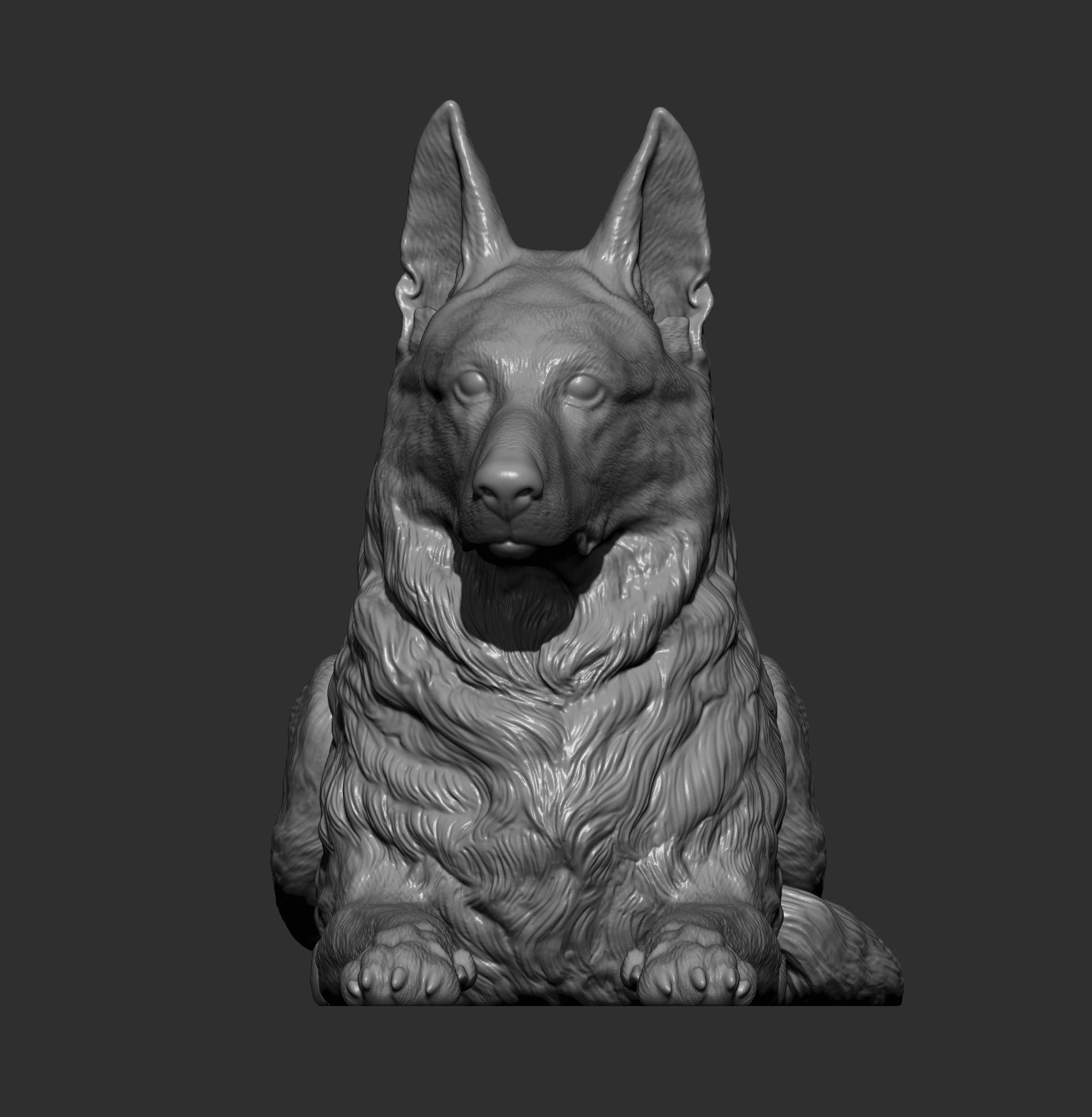 German Shepherd  3D print model_8