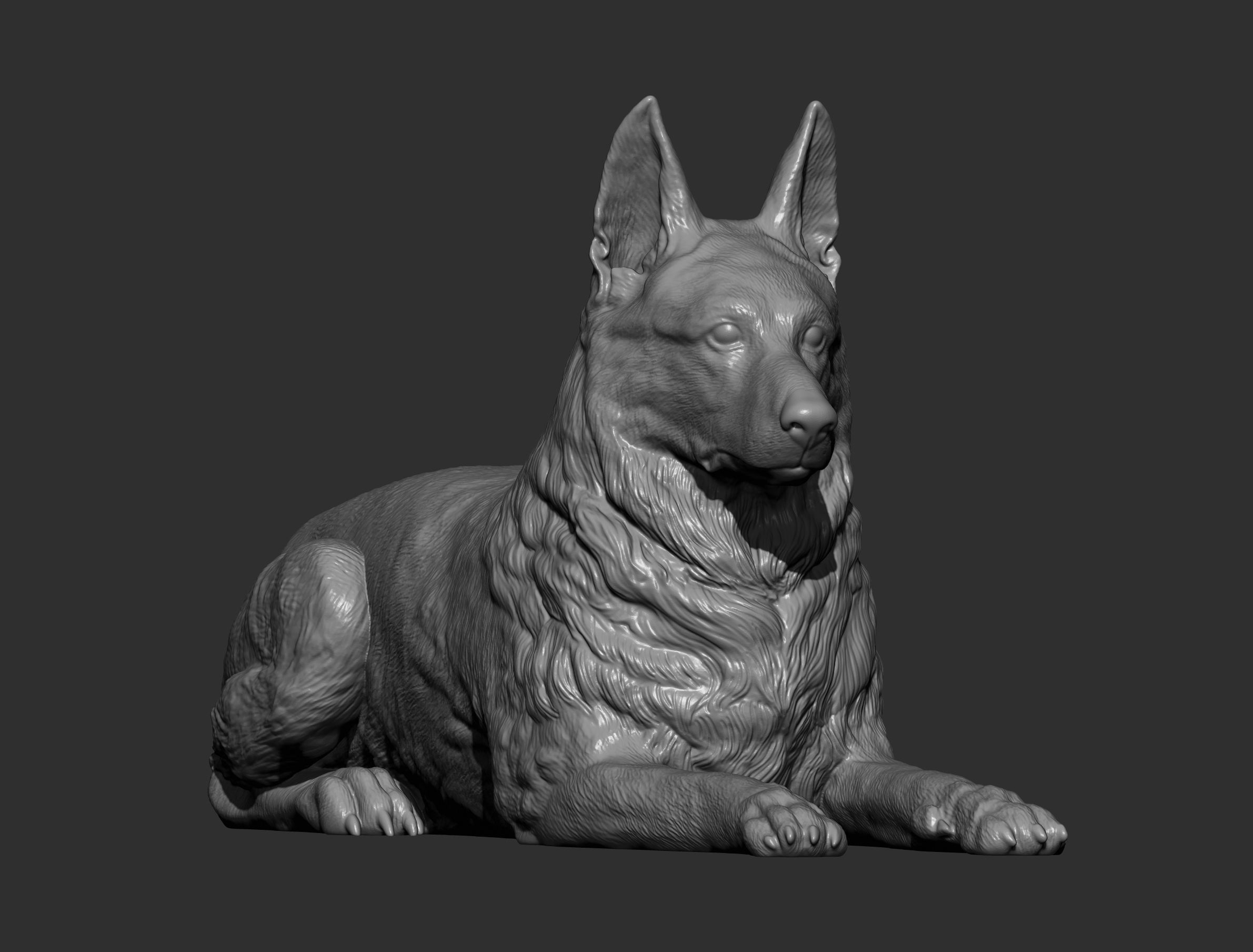 German Shepherd  3D print model_11