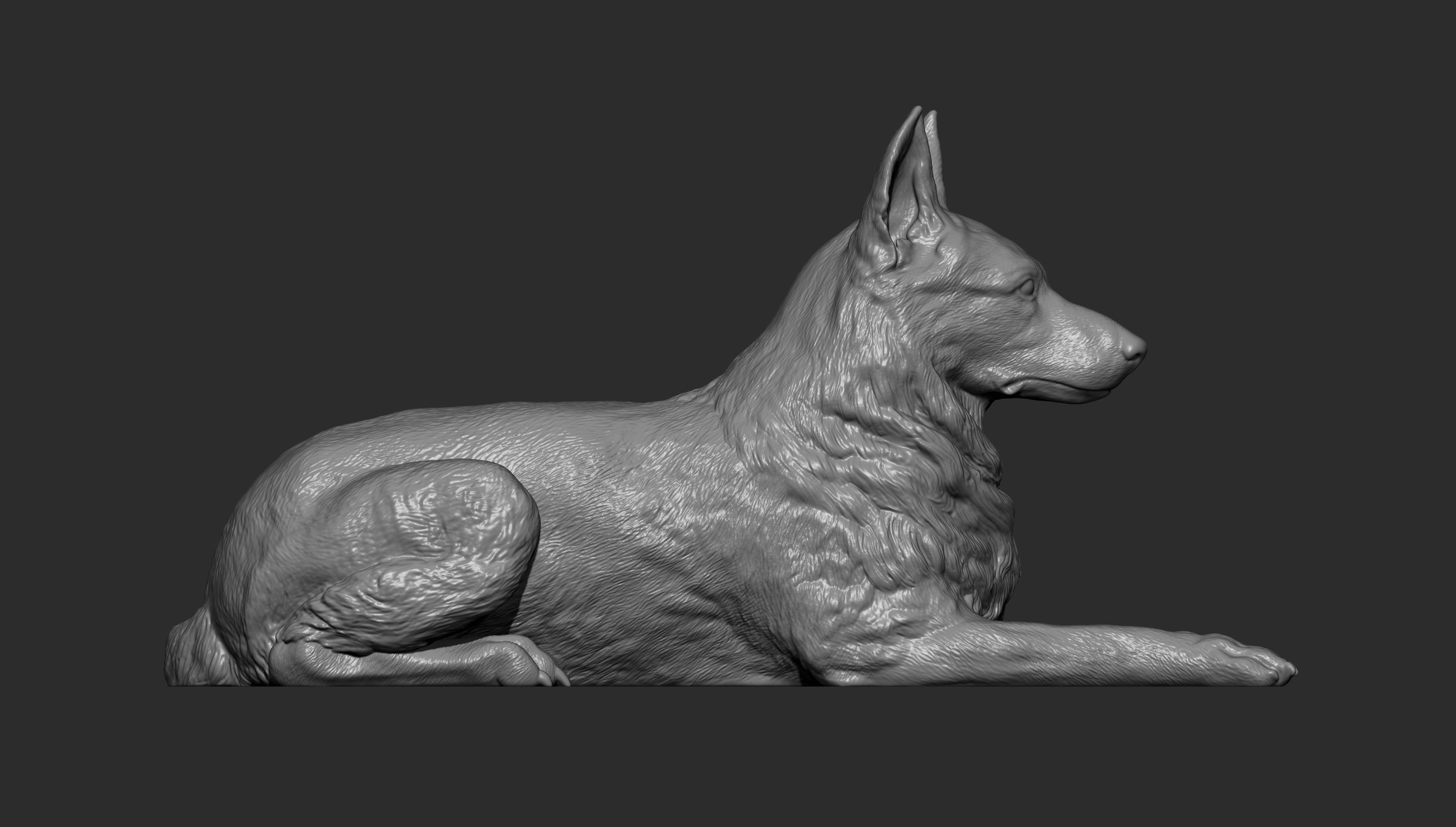 German Shepherd  3D print model_6