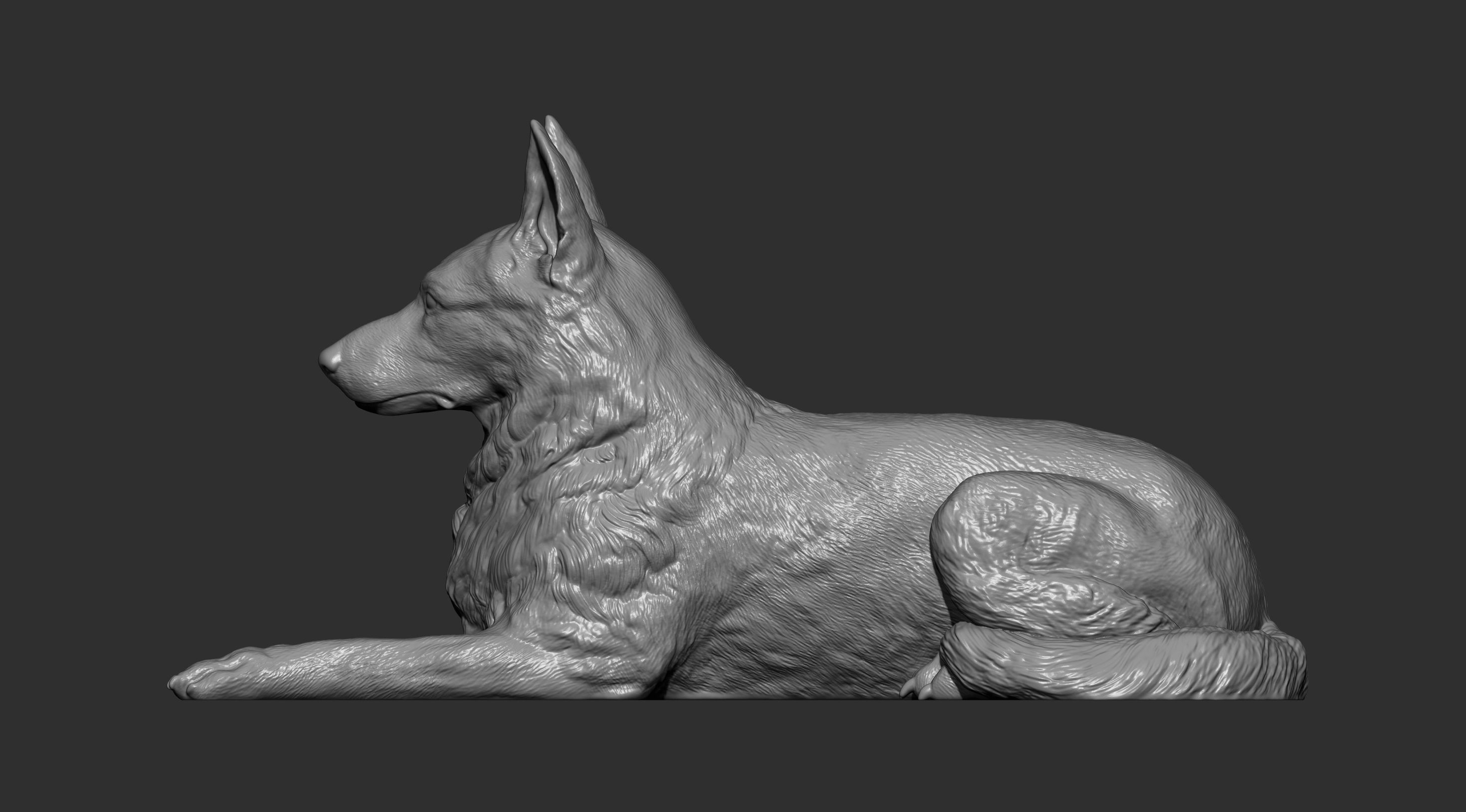 German Shepherd  3D print model_13