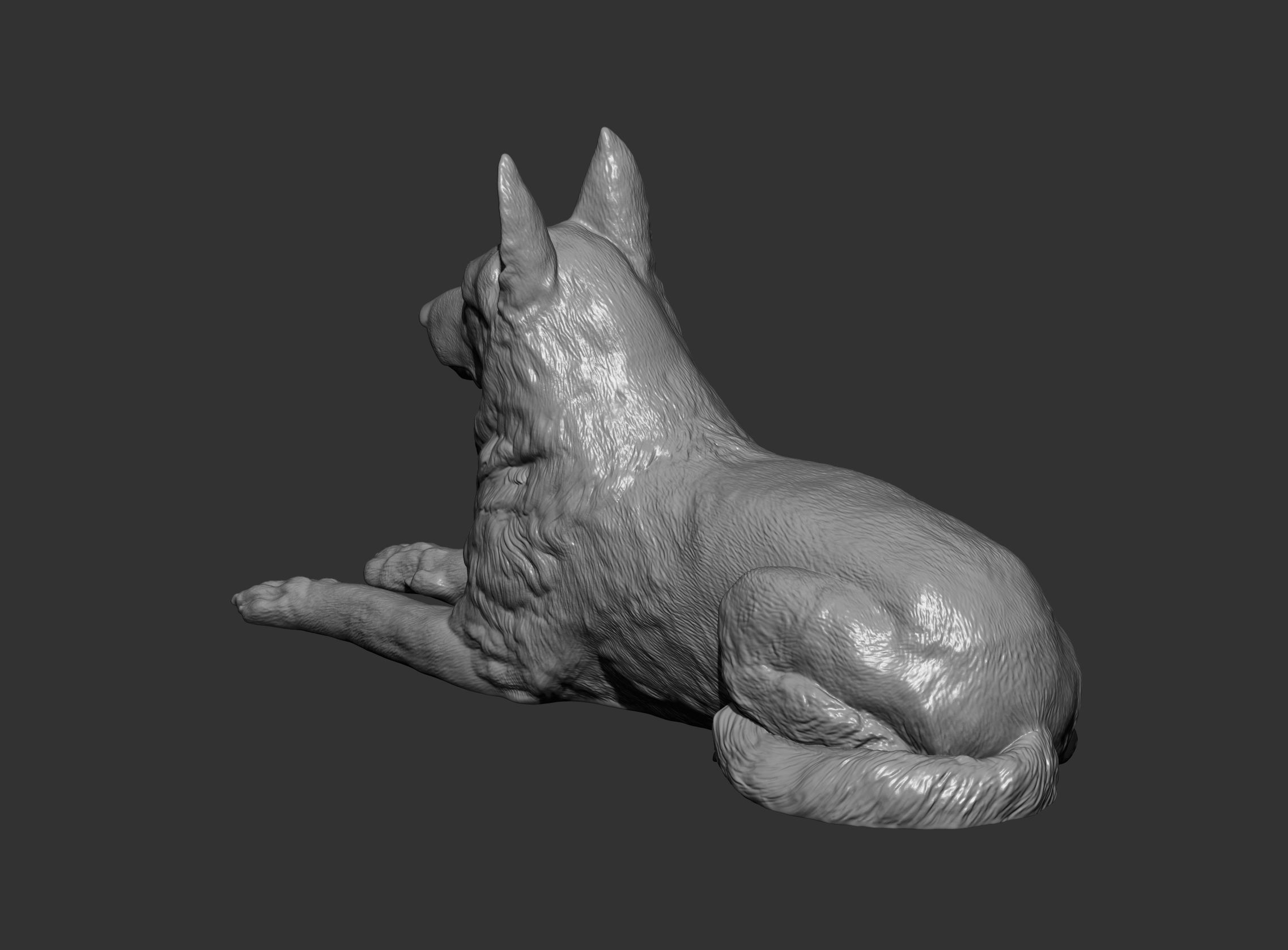 German Shepherd  3D print model_9