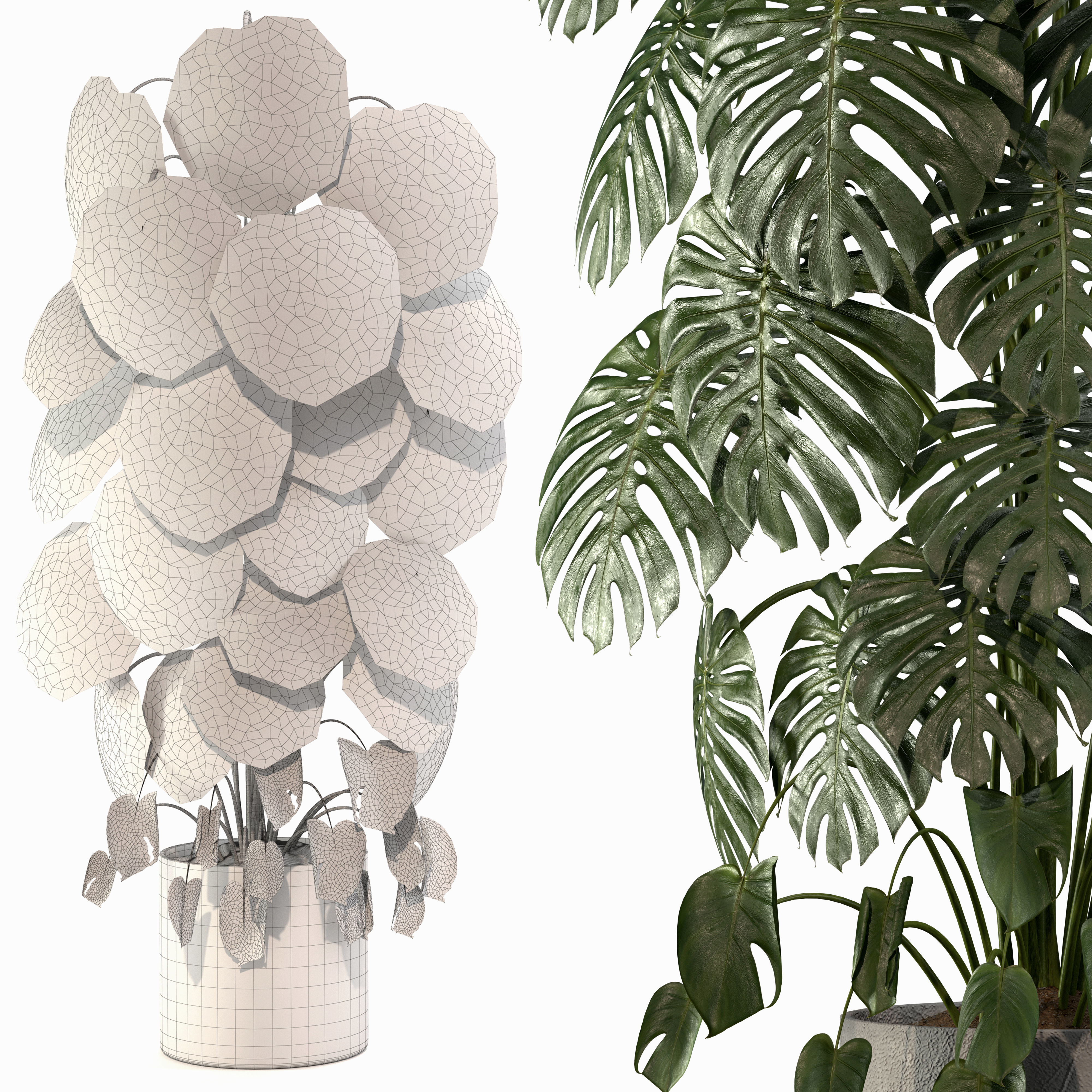 Indoor Plant 02 3D model_3