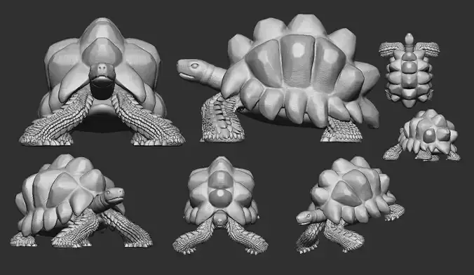 Green Sea Turtle 3DPrintable 3D print model