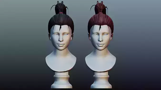 Female hair low poly 2color  model