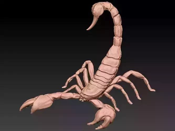 Scorpio 3D Model