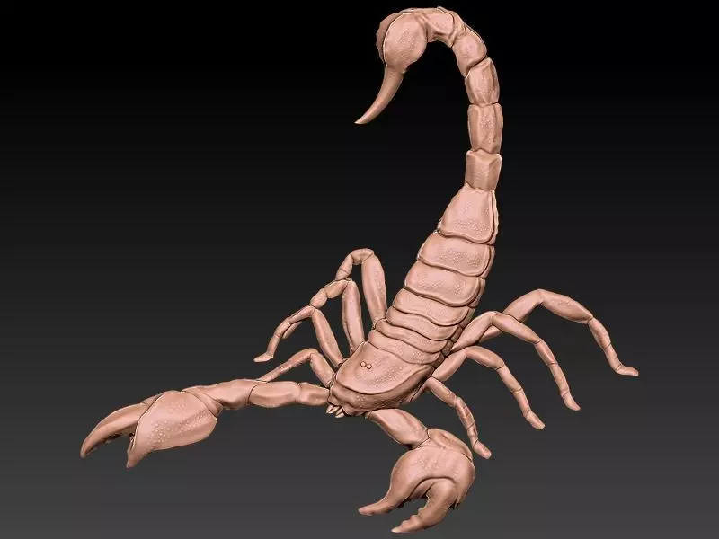 Scorpio 3D Model 3D print model_0